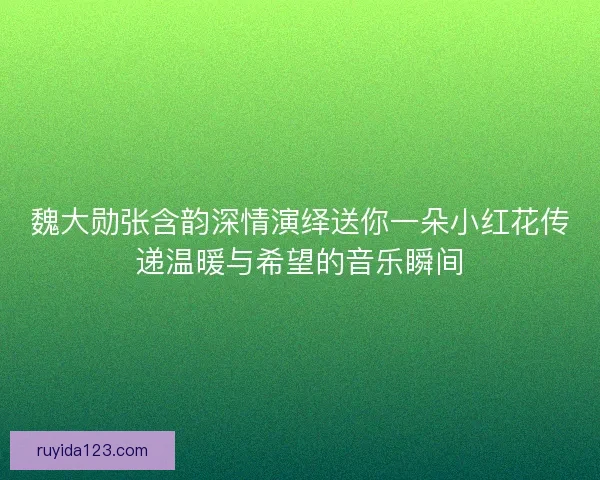 魏大勋张含韵深情演绎送你一朵小红花传递温暖与希望的音乐瞬间